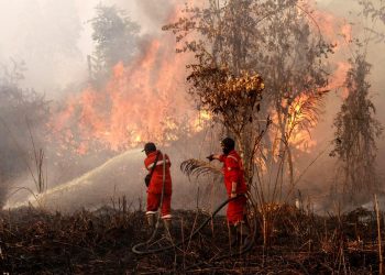 Musim Asap Kembali: Suara Riau dari Tengah Lahan Terbakar