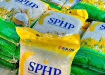 Operasi Pasar Besar-Besaran, Pemerintah Janjikan Harga Beras Turun dalam 2 Minggu