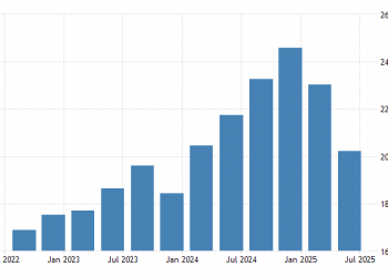 Investasi Asing ke Indonesia Anjlok di Kuartal II 2025, Apa Penyebabnya?