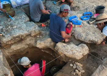 Bukti Baru Peradaban Purba di Sulawesi: Alat Batu 1,5 Juta Tahun Ungkap Misteri Migrasi Manusia