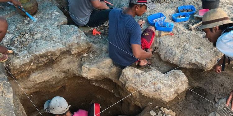 Bukti Baru Peradaban Purba di Sulawesi: Alat Batu 1,5 Juta Tahun Ungkap Misteri Migrasi Manusia