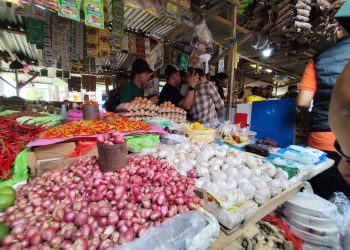 Harga Naik, Suara Sunyi: Ketika Pasar Tak Lagi Ramah bagi Rakyat Biasa