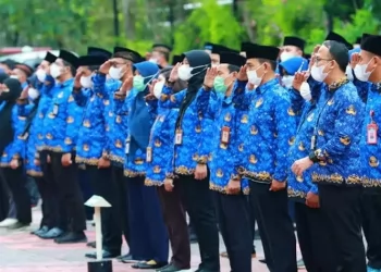 Momentum Akselerasi Kepegawaian Honorer: Semua Terlibat dalam PPPK Paruh Waktu