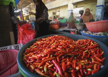 Harga Bahan Pokok Bergerak Fluktuatif, Warga Diminta Tetap Tenang