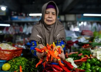 Harga Pangan Naik Diam-diam, Daya Beli Masyarakat Semakin Tertekan