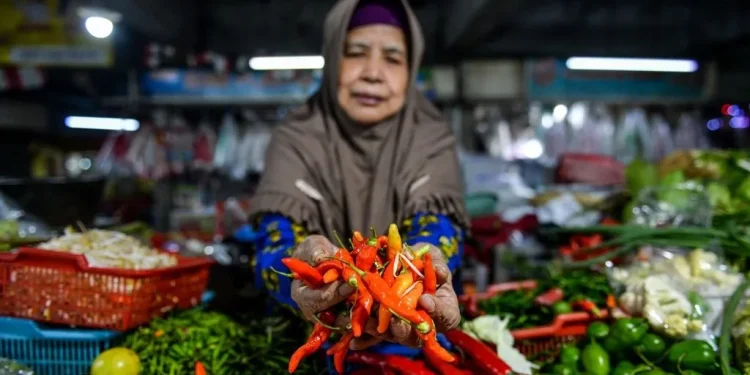 Harga Pangan Naik Diam-diam, Daya Beli Masyarakat Semakin Tertekan