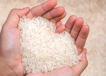 India Resmi Jadi Produsen Beras Terbesar Dunia, Geser Dominasi China