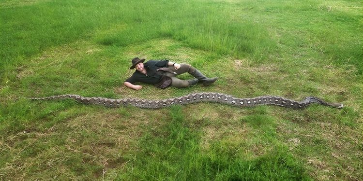 Ular Terpanjang di Alam Liar Dunia Dikonfirmasi Berada di Indonesia