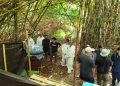 Polisi Bongkar Makam Terduga Pencuri Ayam di Bali, Penyebab Kematian Masih Diselidiki